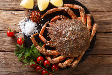 Luxurious Raw Spider Crab Surrounded By Fresh Tomatoes, Lemon, Herbs And Spices Close-up. Horizontal Top View