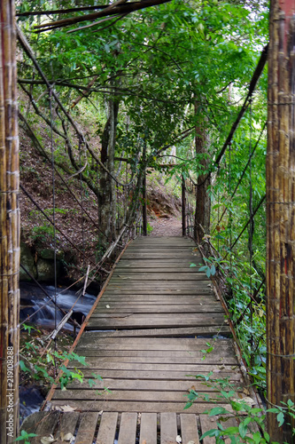 Obrazy most w dżungli  linowy-most-w-dzungli-nad-rzeka