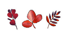 Hand Drawn Vector Autumn Leaves Set. Design For Poster, Kitchen Textiles, Clothing And Website. Hand Sketched Illustration Of Red Leaves Of Cotinus, Fragaria, Sorbus