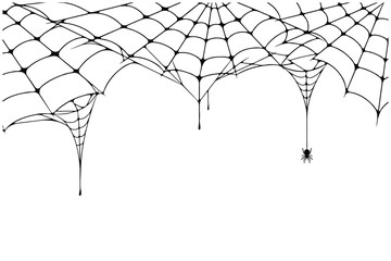 Scary spider web background. Cobweb background with spider. Spooky spider web for Halloween decoration