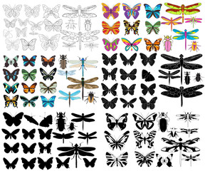 Wall Mural - vector, isolated, insect set of butterflies and dragonflies