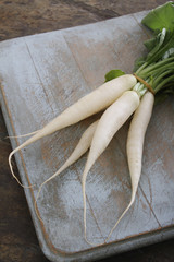 Sticker - preparing fresh white radishes