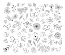 Doodle Flowers, Birds, Butterflies. Cute Hand Drawn Floral Illustrations. Vector Design Elements.