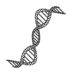 Wall Mural - diagonal dna chain science monochrome vector illustration design