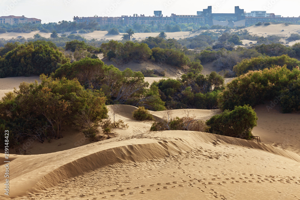 Maspalomas sand dunes