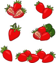 Poster - Strawberry fruit Raster Illustration on white background. Set