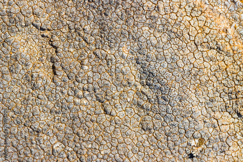 Cuadros en Lienzo The surface texture on the sea stone
