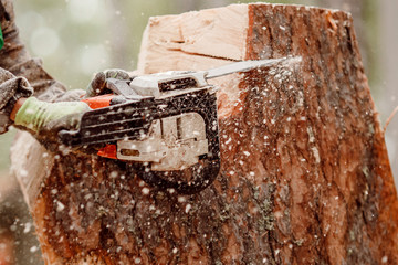 Close-up of woodcutter lumberjack is man chainsaw tree.