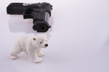 Bear Near A Gun