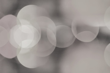 Wall Mural - abstract bokeh night garden in city background