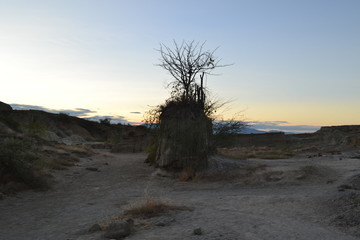 Desierto de la Tatacoa