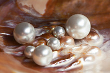 Natural Pearls Inside The Oyster Shell