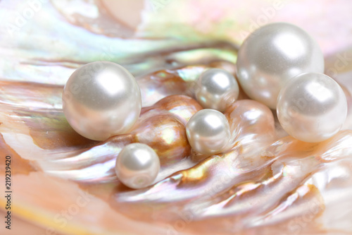 Fotomural Natural pearls inside the oyster shell