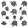 Black illustrations of roses. Vector silhouette of different plants