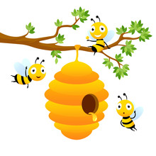 Bee Characters. Vector Cartoon Mascot Design Isolated