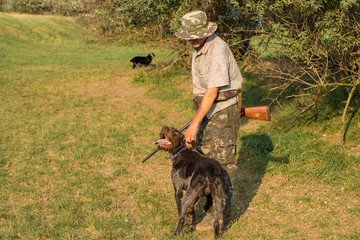 Hunter with a German trotter and spaniel, hunting a pheasant with dogs	