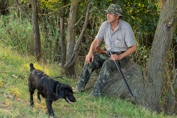 Hunter with a German trotter and spaniel, hunting a pheasant with dogs