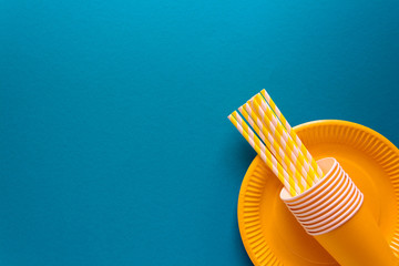 Table setting with paper ware for summer picnic or BBQ. Top view. Flat lay.