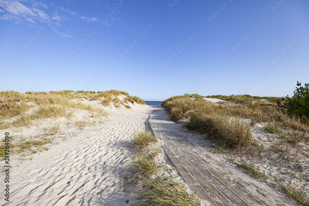 Deserted beach in Sandhammaren, Sweden. - obrazy, fototapety, plakaty 