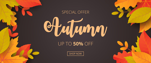 Poster - Autumn sale background with leaves. Can be used for shopping sale, promo poster, banner, flyer, invitation, website or greeting card. Vector illustration