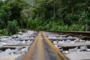 Sticker - Railway in the jungle