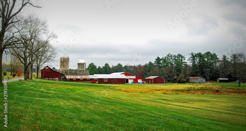 Fotografía Green Fields of Autumn / Farmland in upstate New York in Autumn