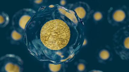 Wall Mural - cell, bacteria, virus, molecule biology concept background