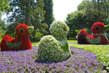 Canvas Print - Blumenskulpturen Insel Mainau, Bodensee