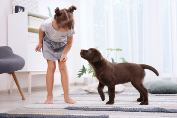 Poster - adorable chocolate labrador retriever and little girl at home