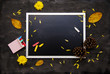© Lidia_Lo - Black chalkboard. School supplies, fallen leaves and coniferous cones.