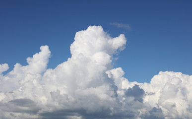 Wall Mural - Clouds in sky