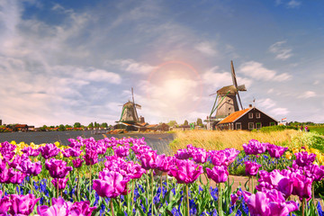 windmill in holland