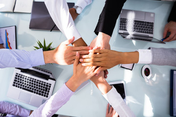 Wall Mural - Group Of Businesspeople Stacking Hands