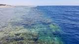 Fototapeta Do akwarium - Egipt Sharm el sheikh  rafa koralowa