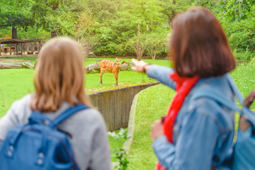 Two girls friends students zoologist with backpacks watch an antelope at a zoo or on a safari