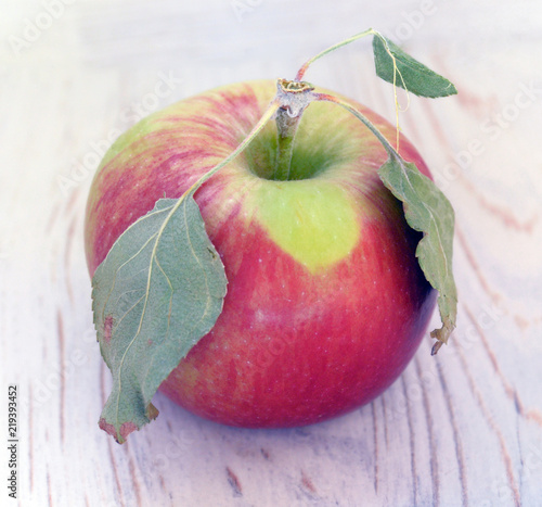 Fototapeta jabłko red-apple-with-three-dried-leaves-macro
