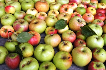 Wall Mural - Apfelsaft,apfel, obst, essen, rot, isoliert, gesund, frisch, weiß, reif, green, saftig, diät, süss, gesundheit, frische, natur, vegetarier, auflösungszeichen, köstlich, bio, vitamin, gelb