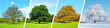canvas print picture - Vier Jahreszeiten - Baum Panorama