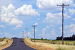 Country road shimmering in summer heat haze and lined by fields and telegraph poles near Canowindra in rural New South Wales, Australia