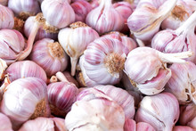 Background Of Pink Garlic Bulbs.