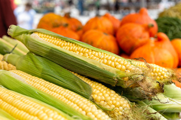Wall Mural - A pile of sweetcorn with husk at market. Pumpkin in the background.