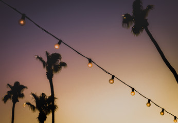 Background Image of String Lights In Front of Palm Trees at Sunset in Palm Springs, California