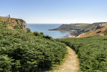 A Path Leading Through Foliage, Towards The Sea And Distant Headland, On A Bright Summers Day. The Path Is Part Of The Welsh Coastal Path