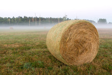 Foggy Morning In A Meadow Full Of Bale