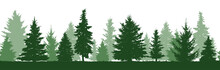 Seamless Pattern Of Forest Fir Trees Silhouette. Coniferous Green Spruce. Vector