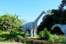 Phuwiangosaurus Sirindhornae, Dinosaur Statue At Viewpoint Kwan-phayao, Thailand.