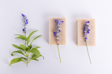 Poster - Homemade Soap with Lavender Flowers on White Background