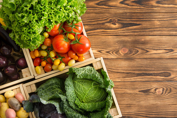 Variety of healthy fresh vegetables in boxes