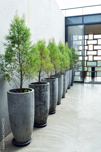 Cement Wall Decoration With Small Trees In Pot Plant Modern House