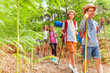 © Sergey Novikov - Kids walk with hiking poles among fern